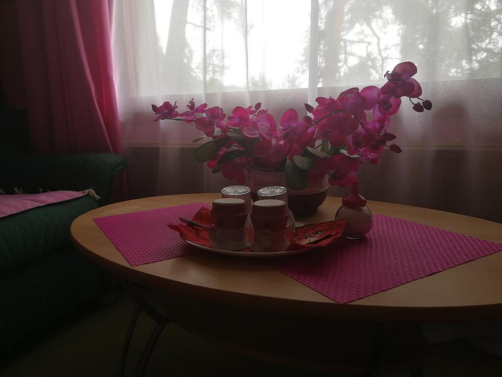 Hotel Villa Vanessa Siltakyla Bagian luar foto